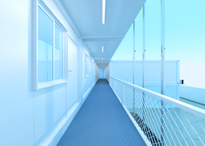 Graues und weißes doppeltes Behälter-Haus-Aluminiumzink beschichtete