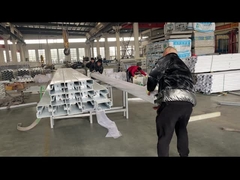 Verpackung mit Blasenschutz